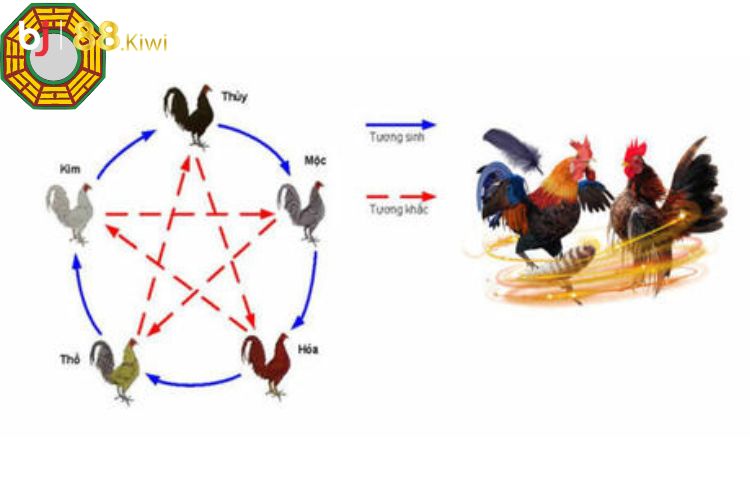 Màu mạng đá gà được phân chia dựa trên ngũ hành